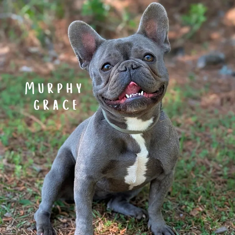 Murphy Grace thumbnail 4