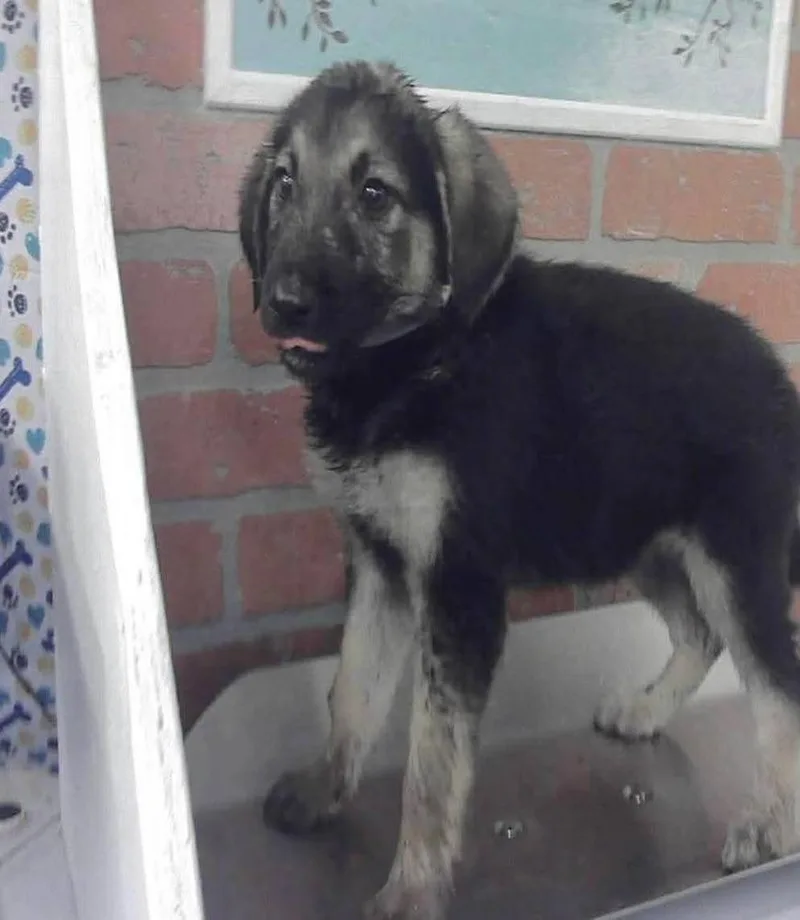 Eleanor thumbnail 2