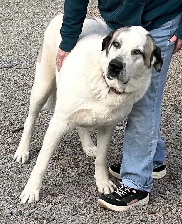 Rex Jamestown  Ky thumbnail 2