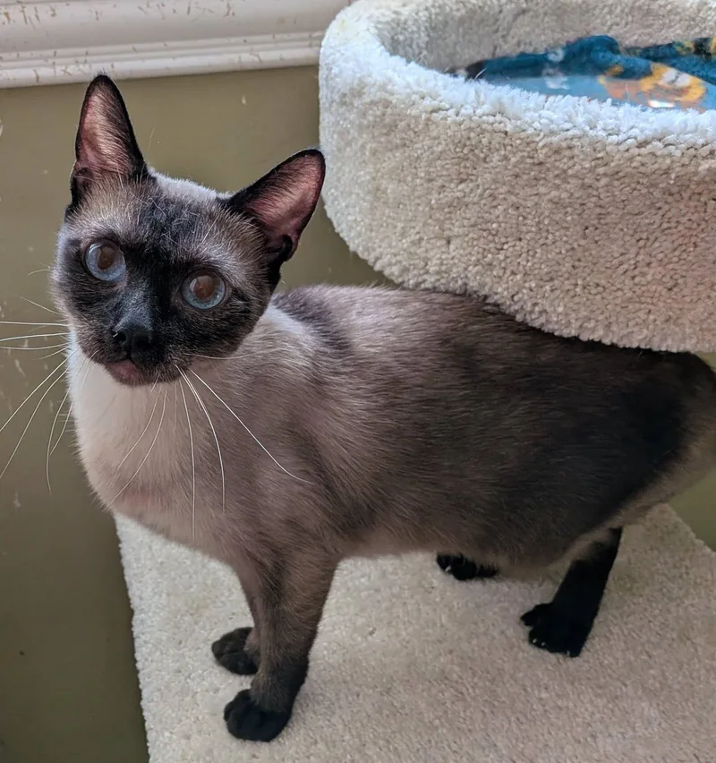 Elizabeth thumbnail 3