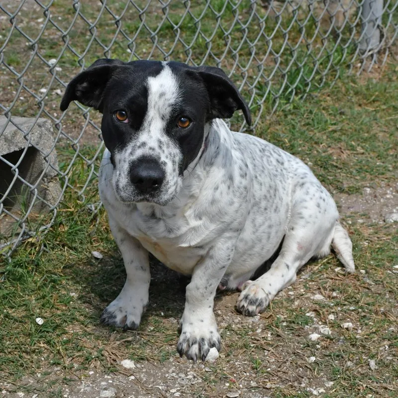 Rorschach thumbnail 2