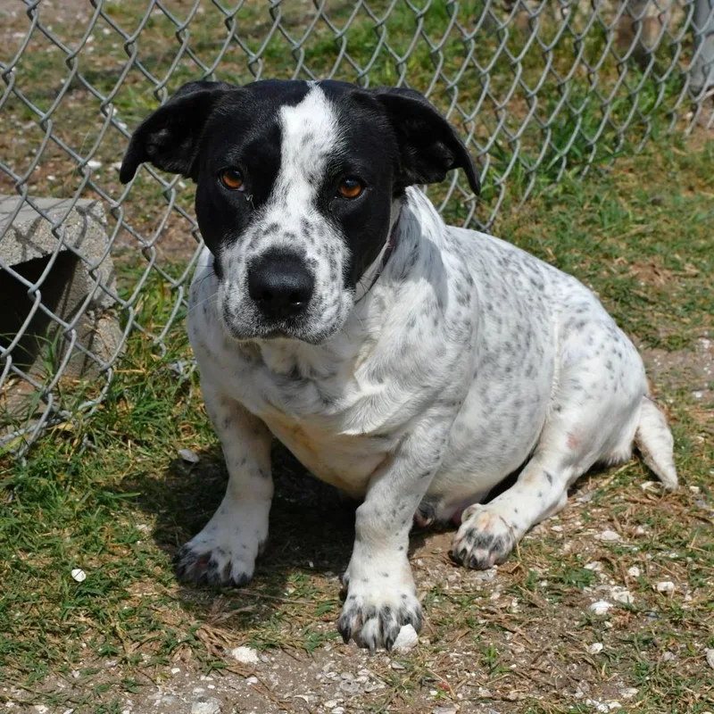 Rorschach thumbnail 3