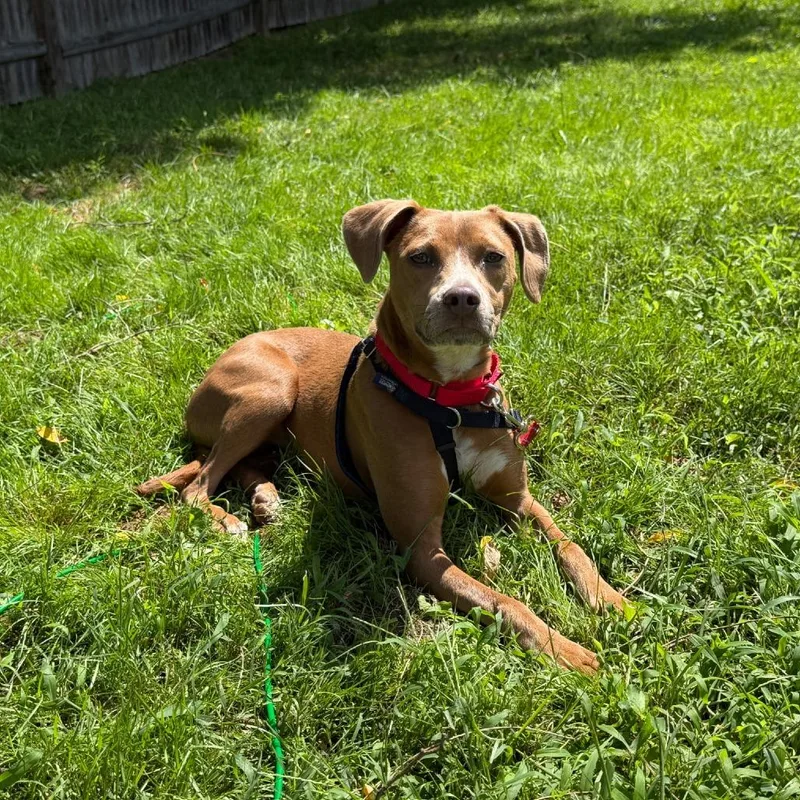 Twiggy thumbnail 5