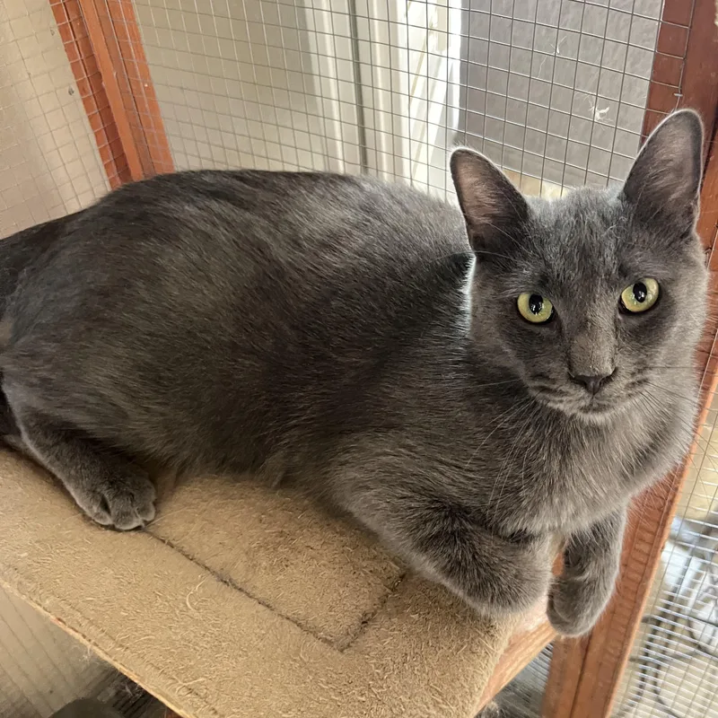 Handsome Bp Boy thumbnail 2