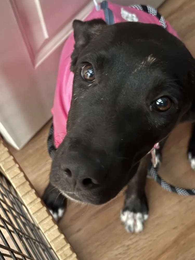 Delilah thumbnail 3