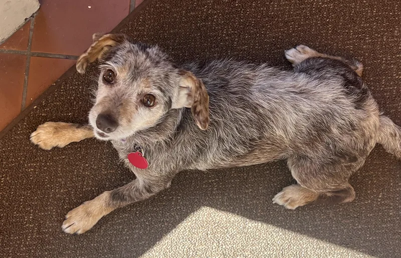 Theodora thumbnail 2