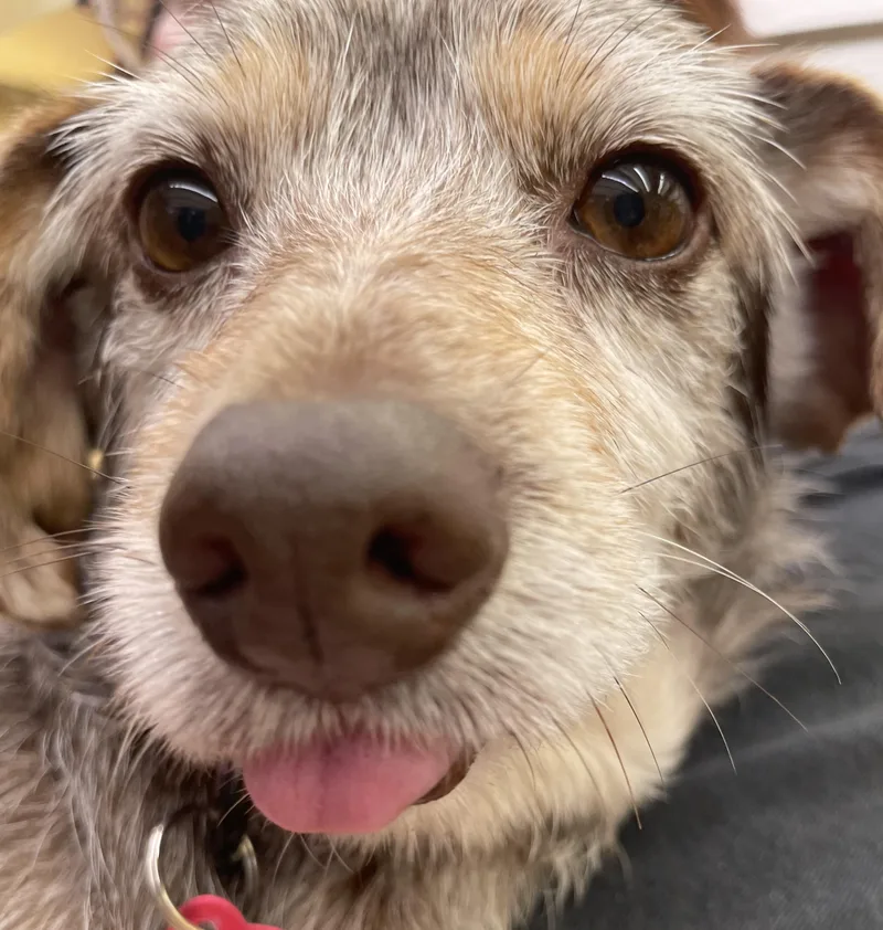 Theodora thumbnail 5