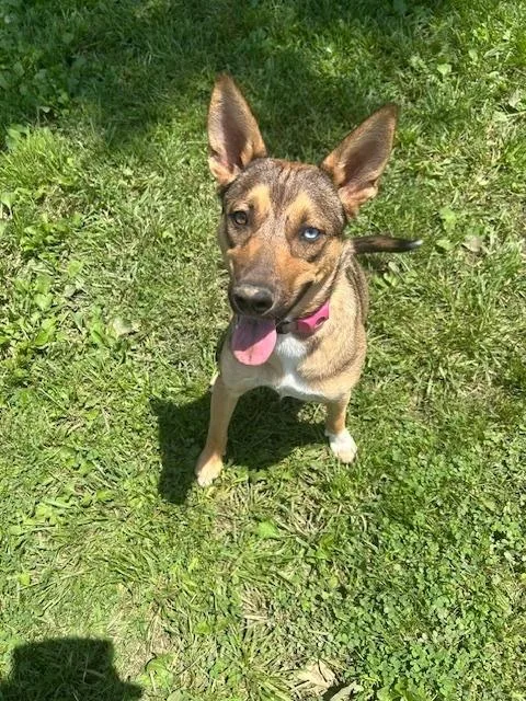 Samantha thumbnail 3