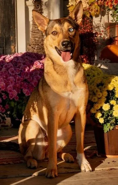 Samantha thumbnail 5