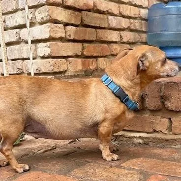 Cooper thumbnail 2
