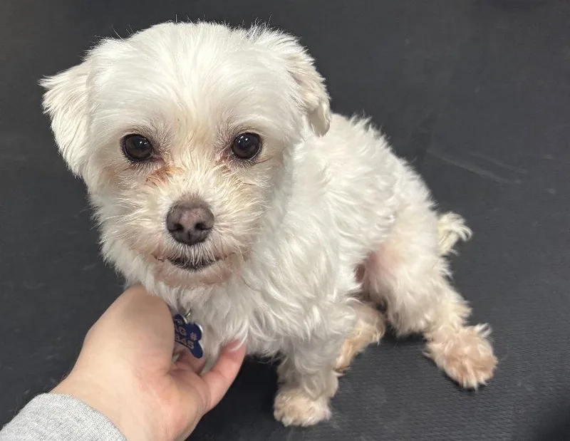 Sadiearr thumbnail 2