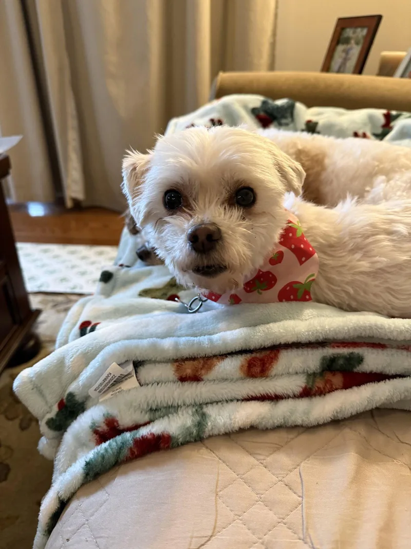 Sadiearr thumbnail 3