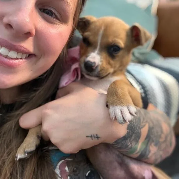 A baby medium-sized female Yellow / Tan / Blond / Fawn Pit Bull Terrier dog named Nae Nae Baby for adoption in Friendswood, TX