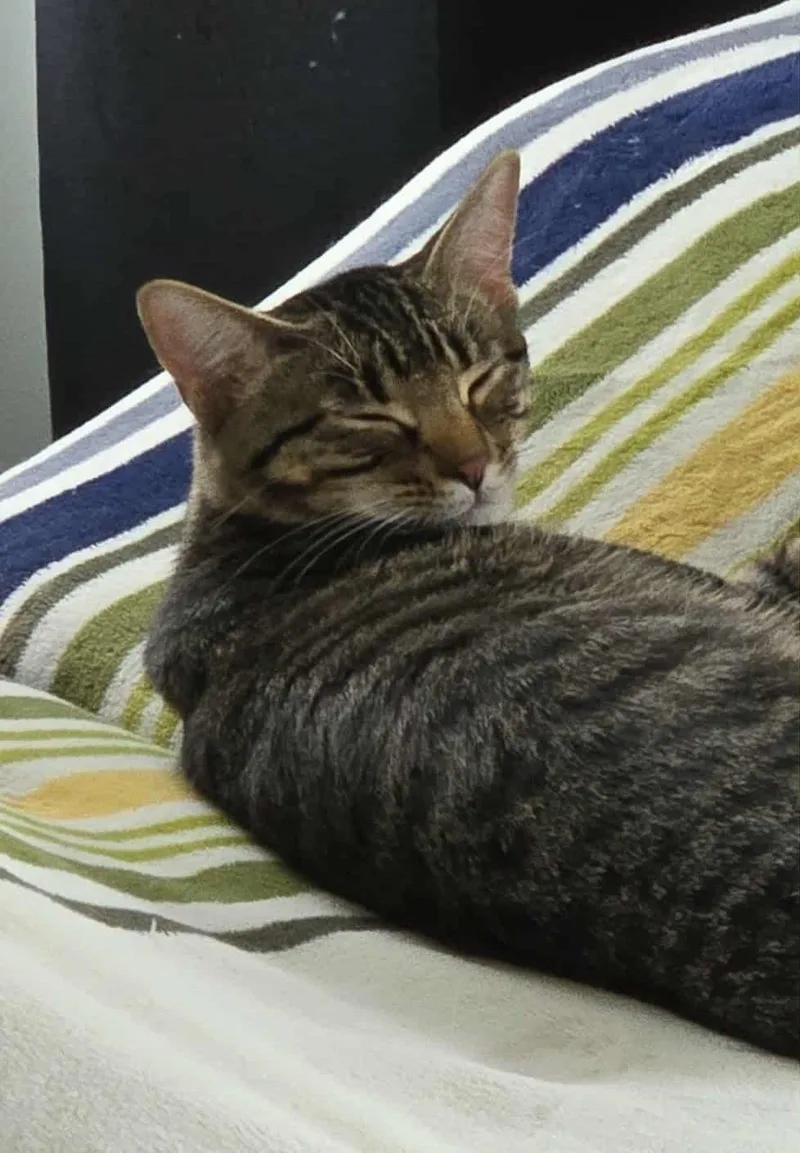 Lucy & Ethel thumbnail 3