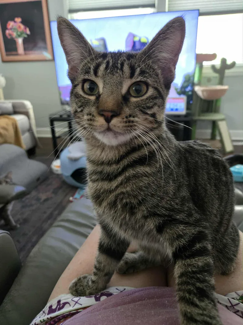 Lucy & Ethel thumbnail 4