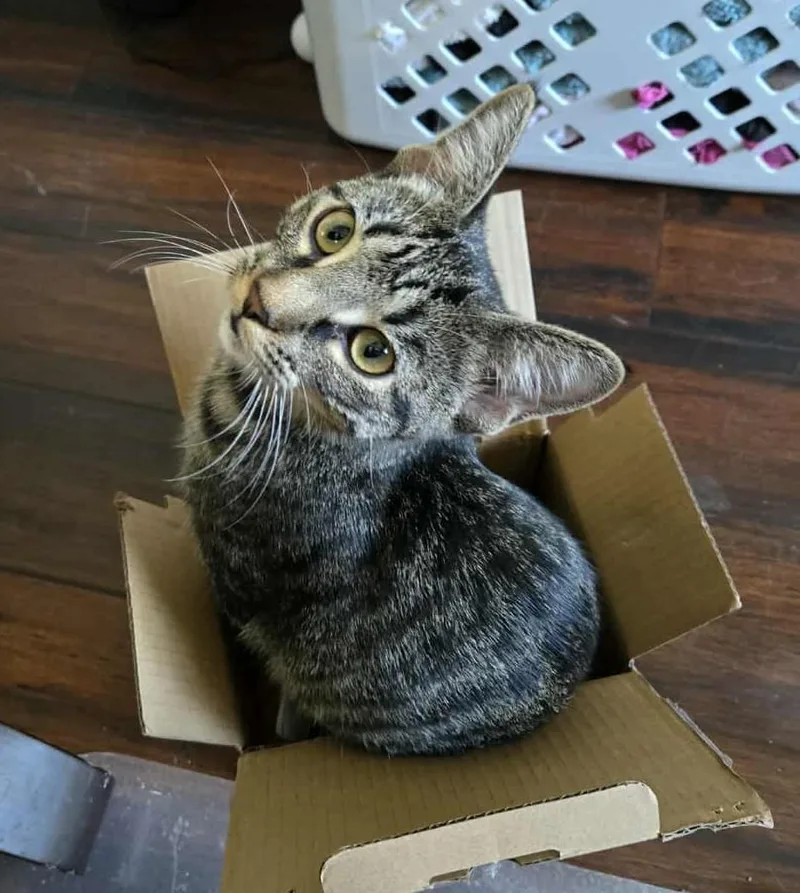 Lucy & Ethel thumbnail 5