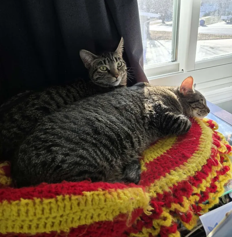 Lucy & Ethel thumbnail 6