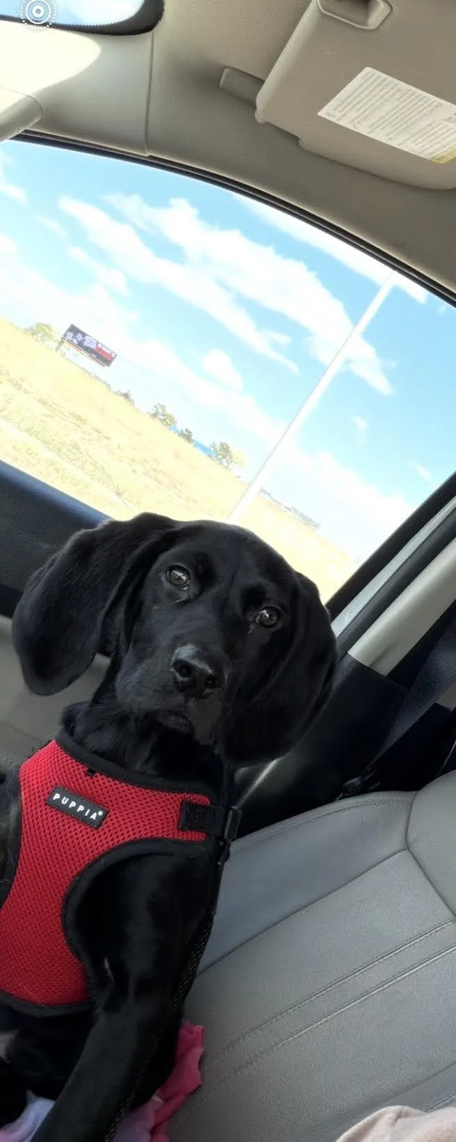 Vader
