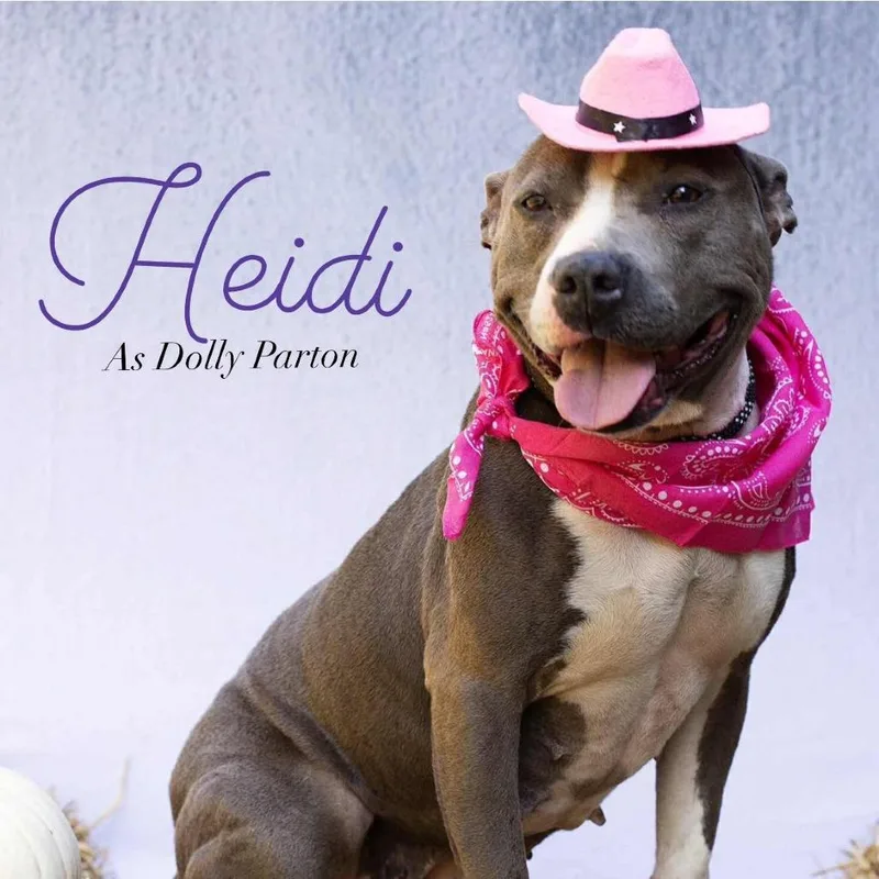 Heidi