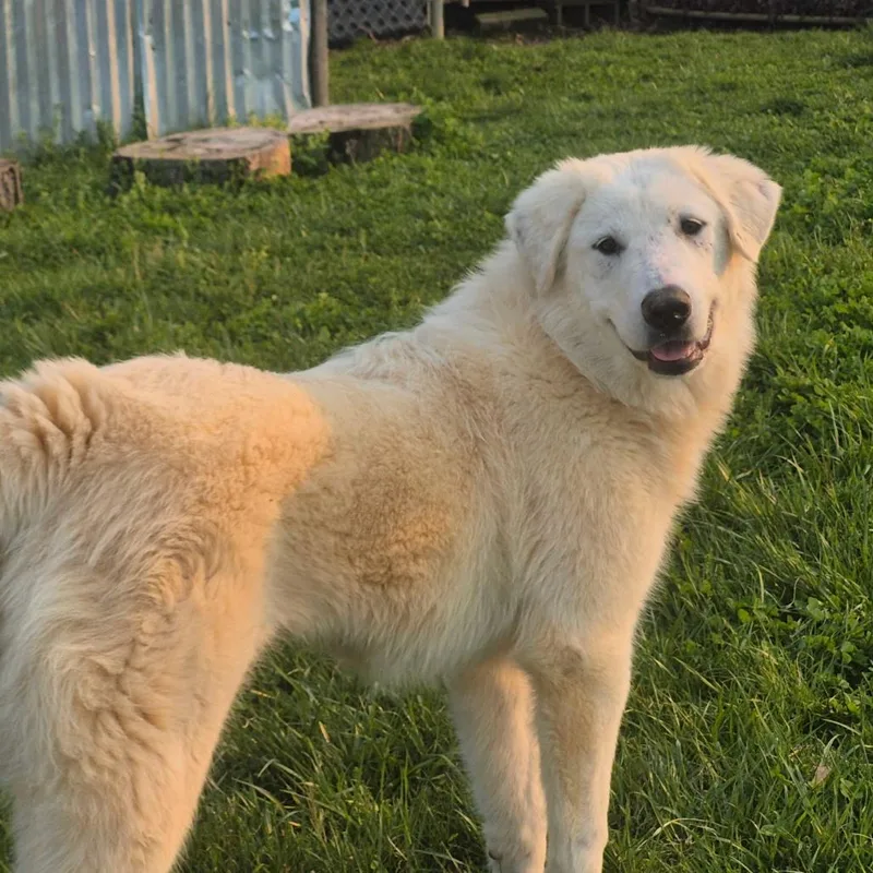 Clementine Elyce thumbnail 2