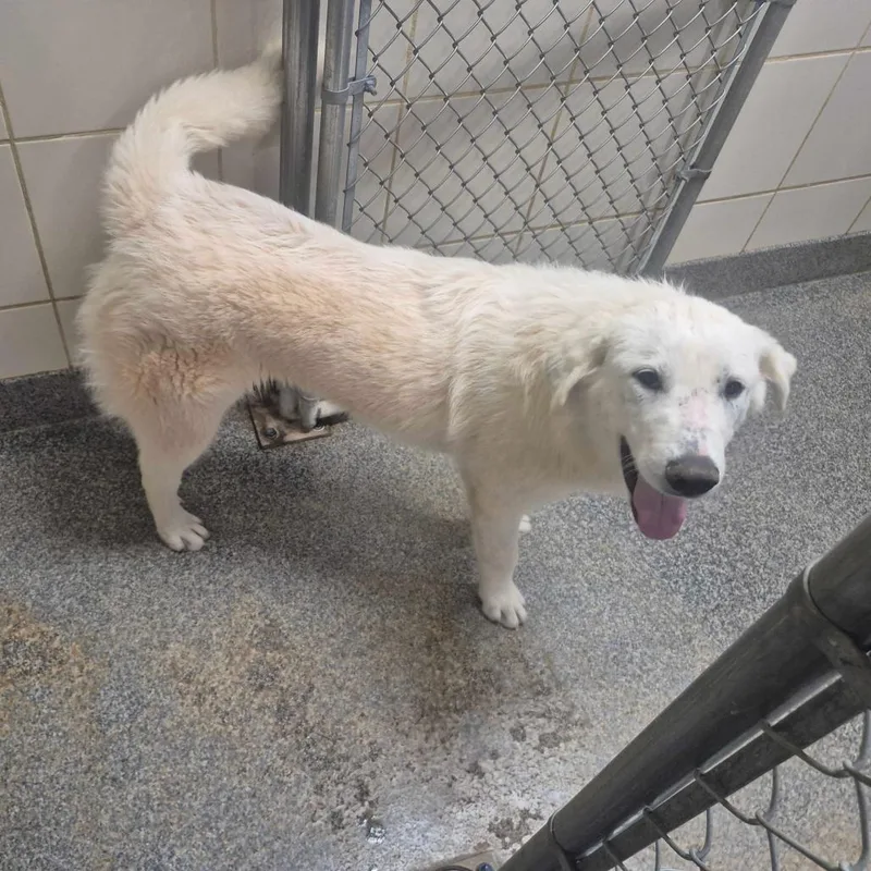 Clementine Elyce thumbnail 3