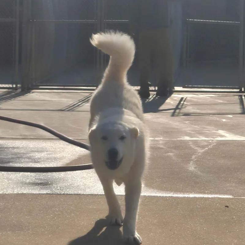 Clementine Elyce thumbnail 4