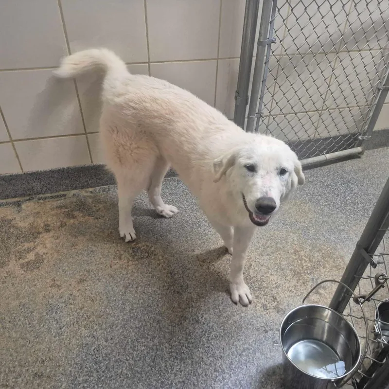 Clementine Elyce thumbnail 5