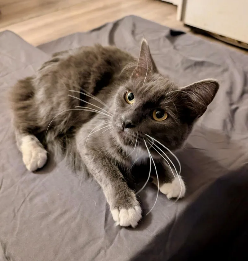 Lindy And Timmy thumbnail 2