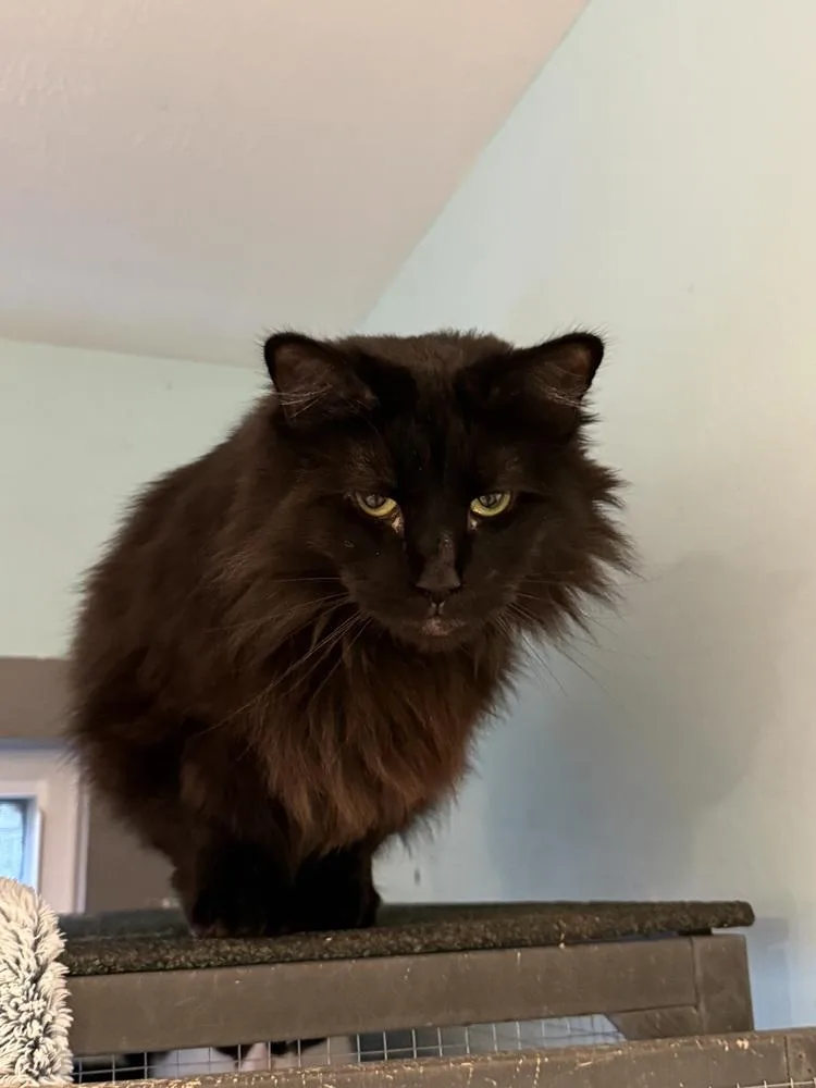 Finn aka Fiona