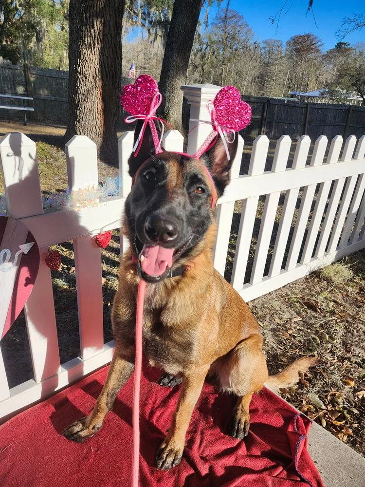 Moon  Located In thumbnail 3