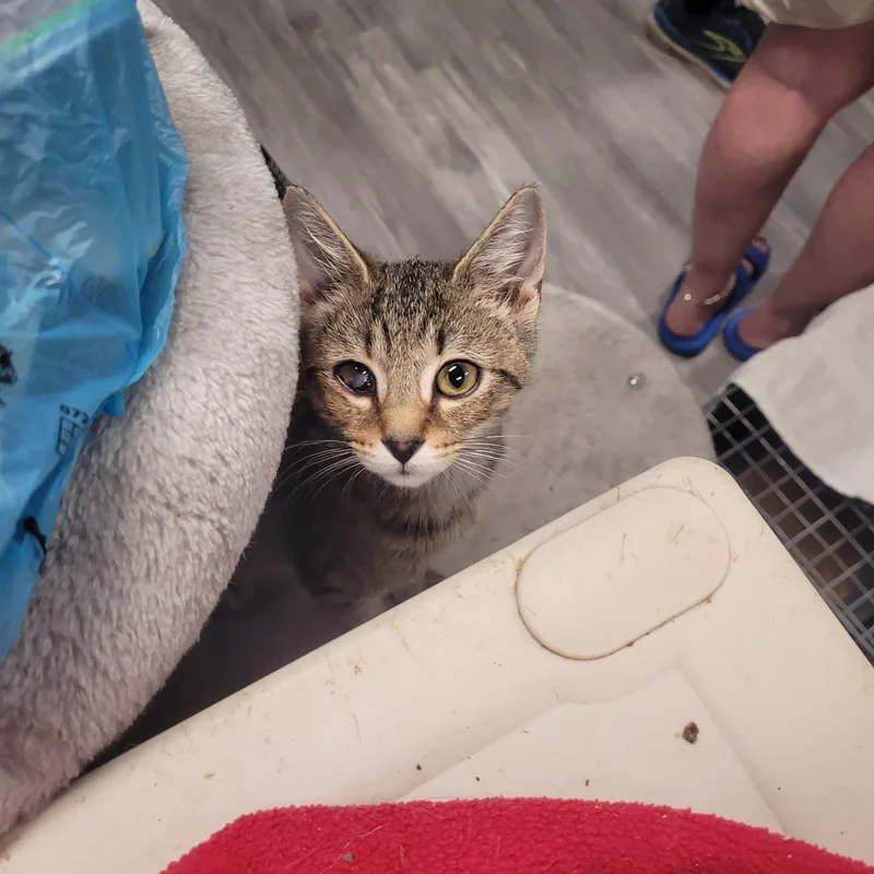 Ellie thumbnail 3