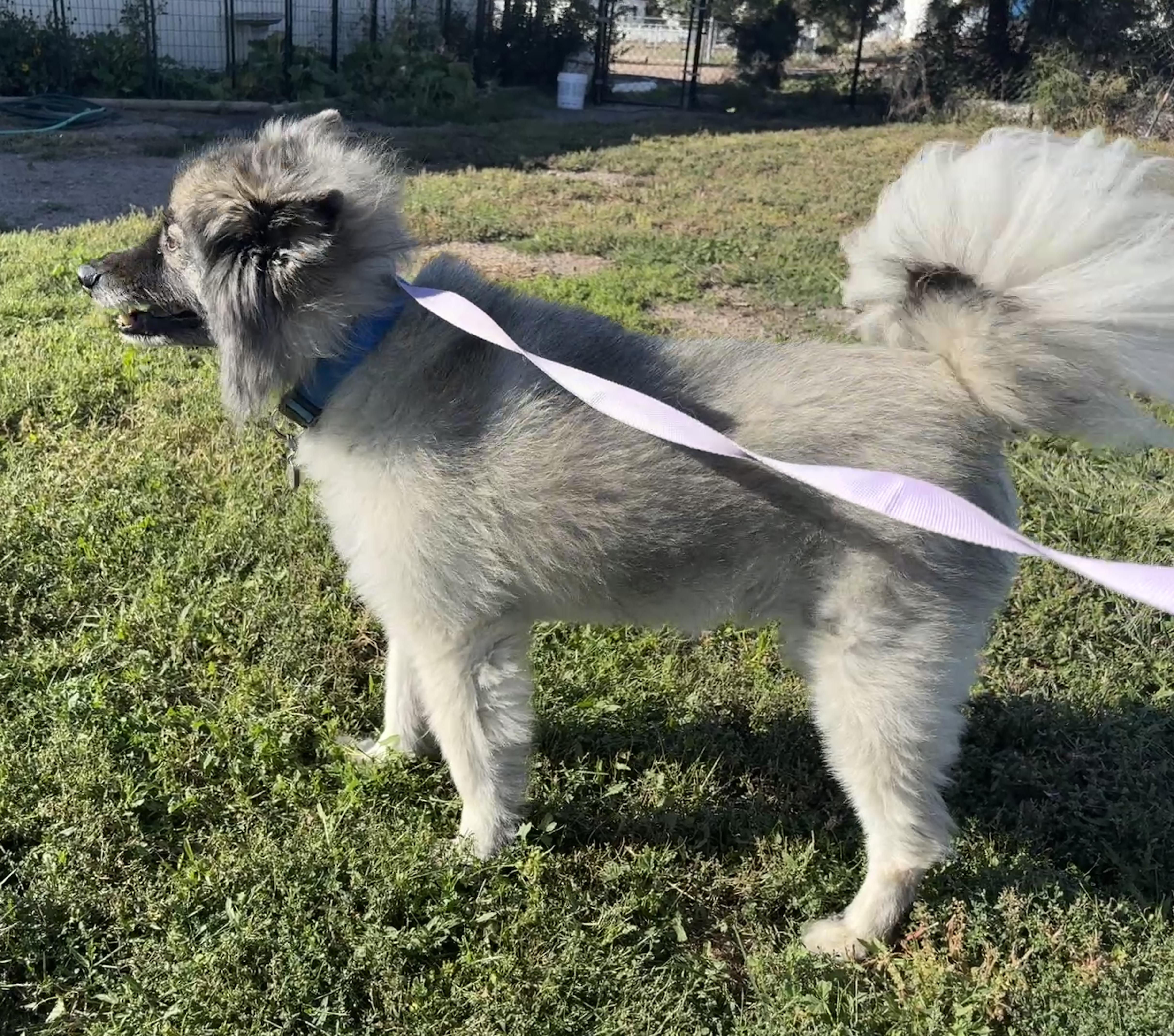 Tucker thumbnail 6