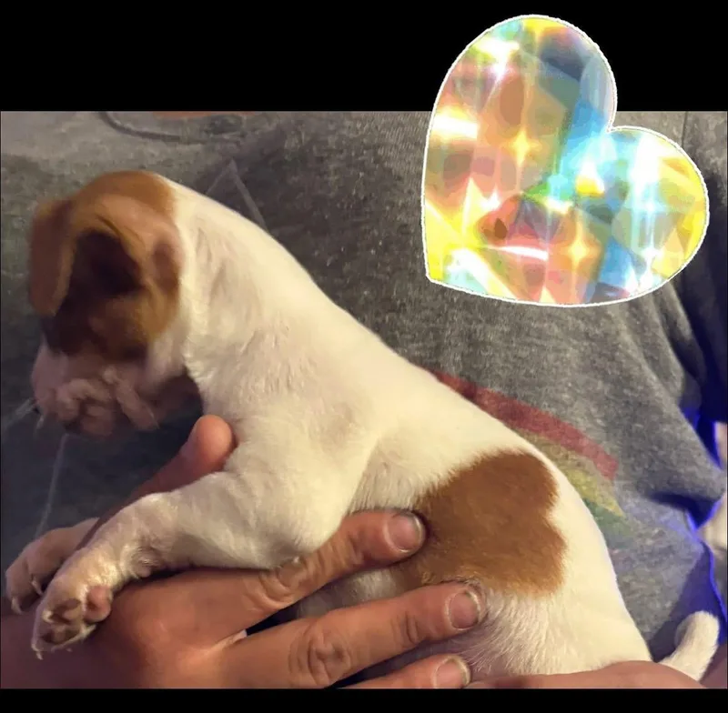 Wednesday thumbnail 3