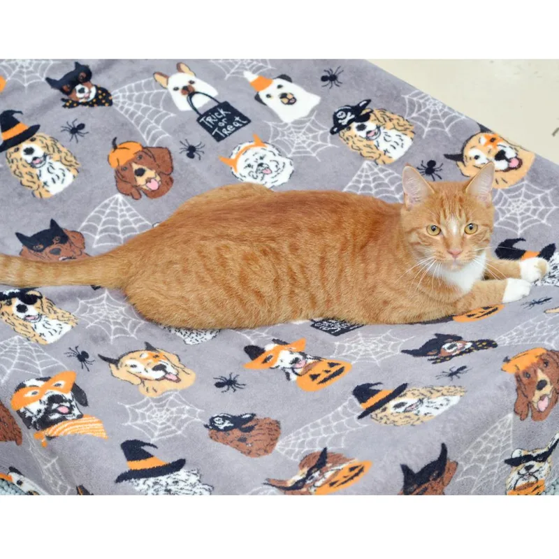 Tigger thumbnail 2