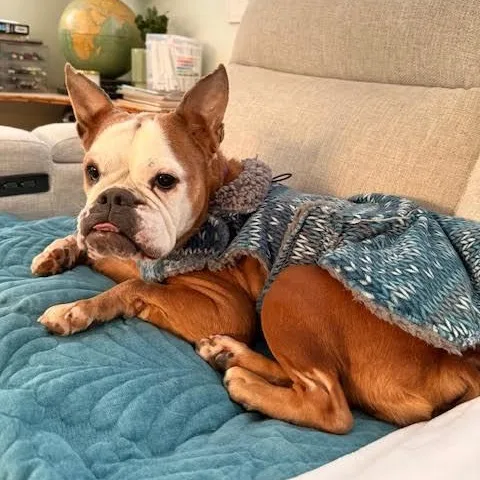 Beefaroni thumbnail 2