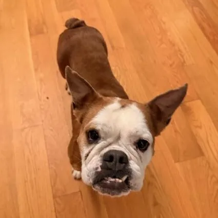 Beefaroni thumbnail 3