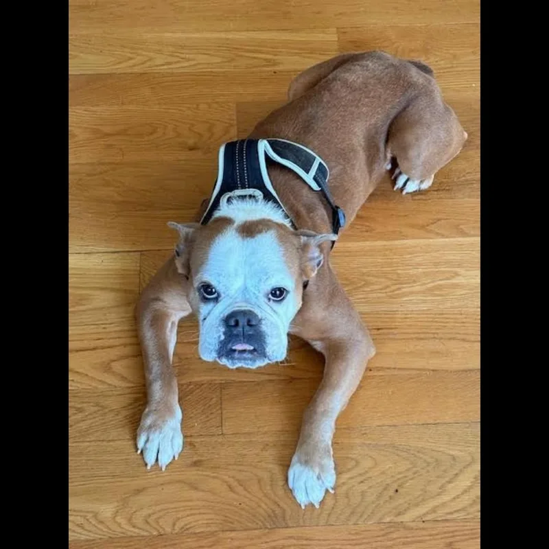 Beefaroni thumbnail 5