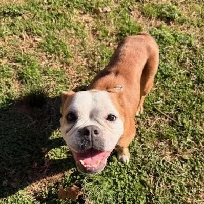 Beefaroni thumbnail 6