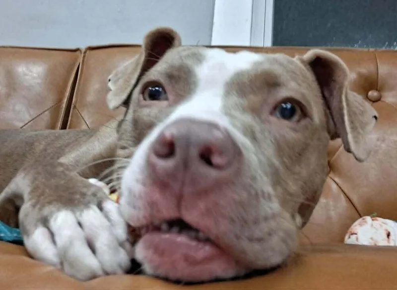 Katie Mae thumbnail 6