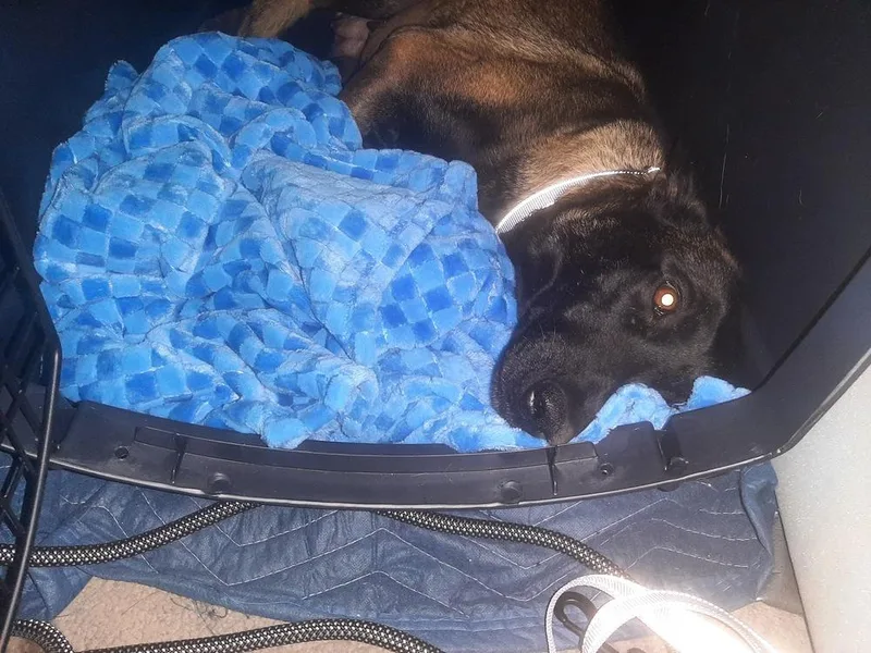 Bonnie Bell In New thumbnail 2