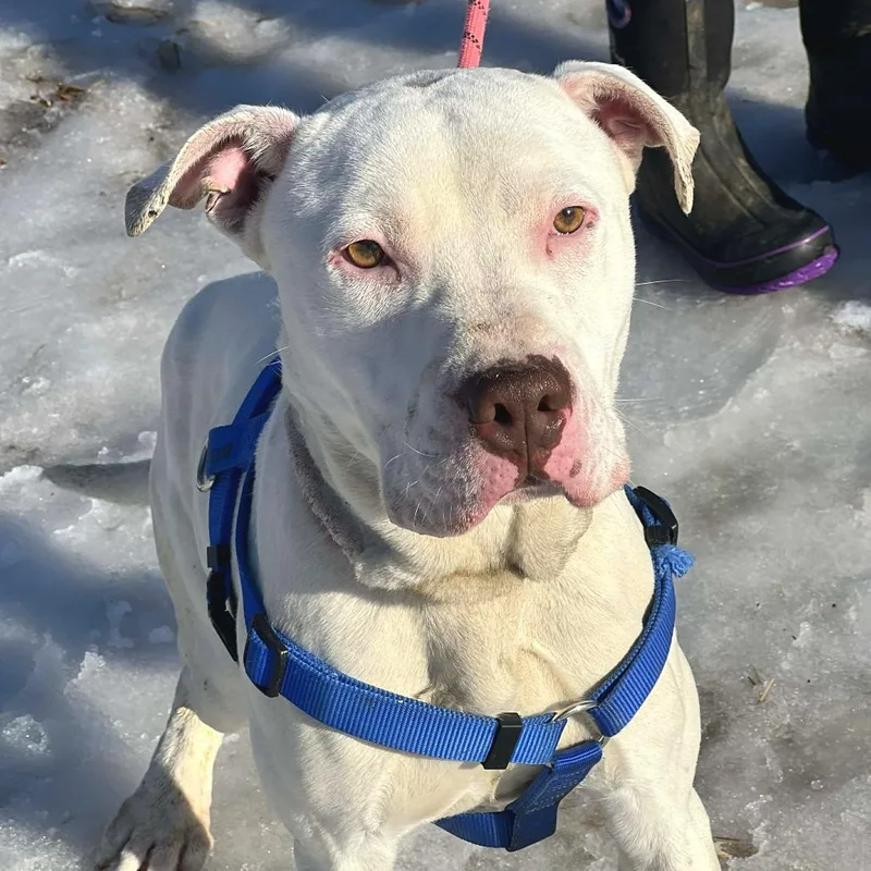 Macklemore thumbnail 2