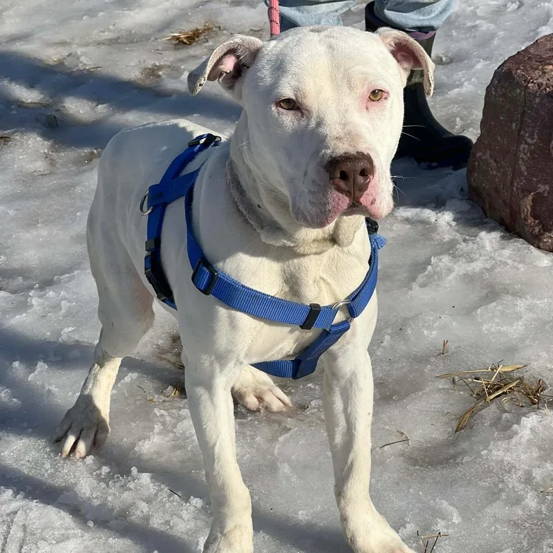 Macklemore thumbnail 4