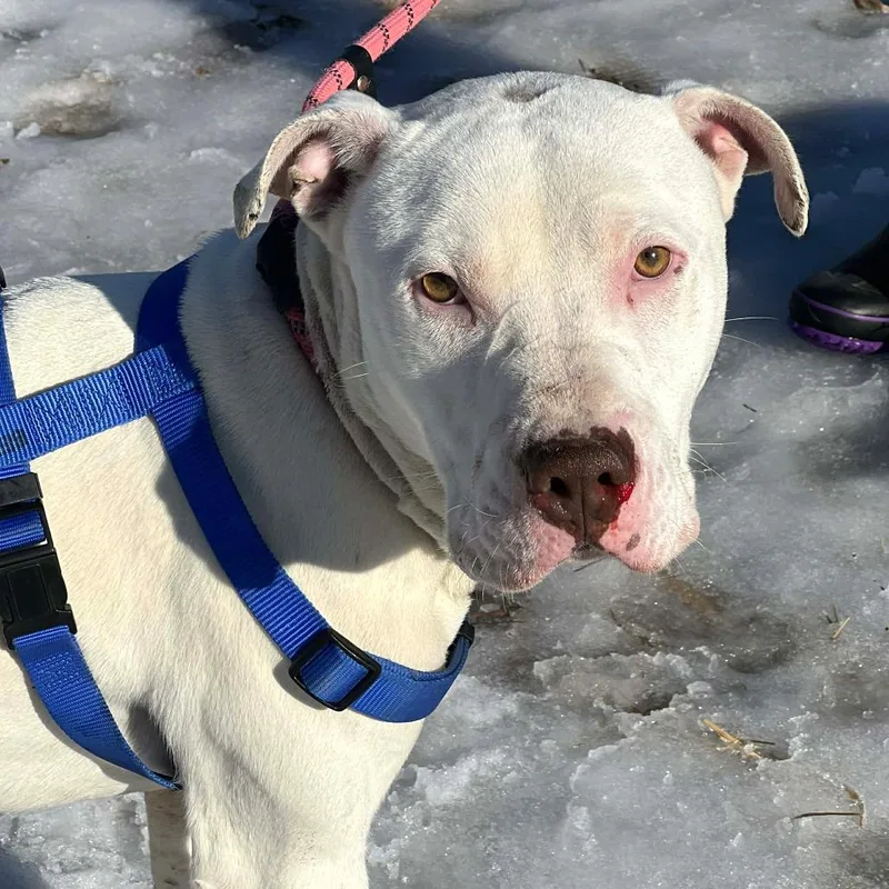 Macklemore thumbnail 6