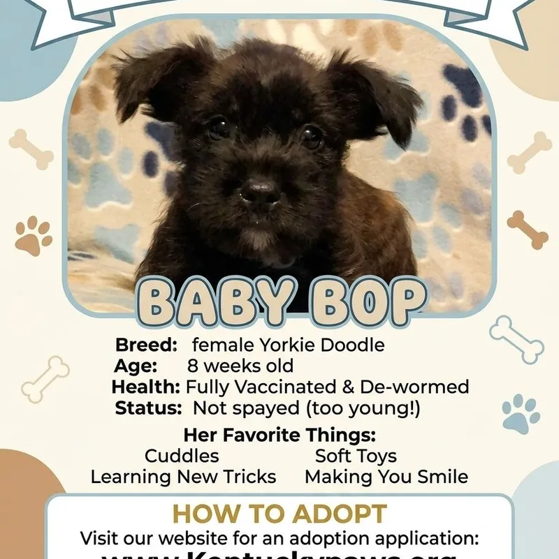 Baby Bop thumbnail 5
