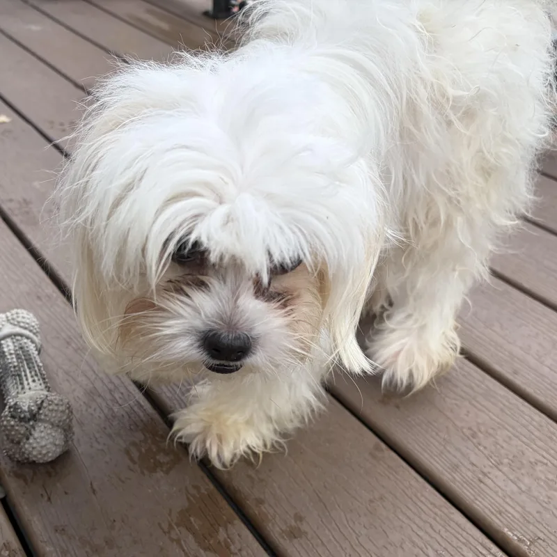 Evaher Turn To Be thumbnail 2