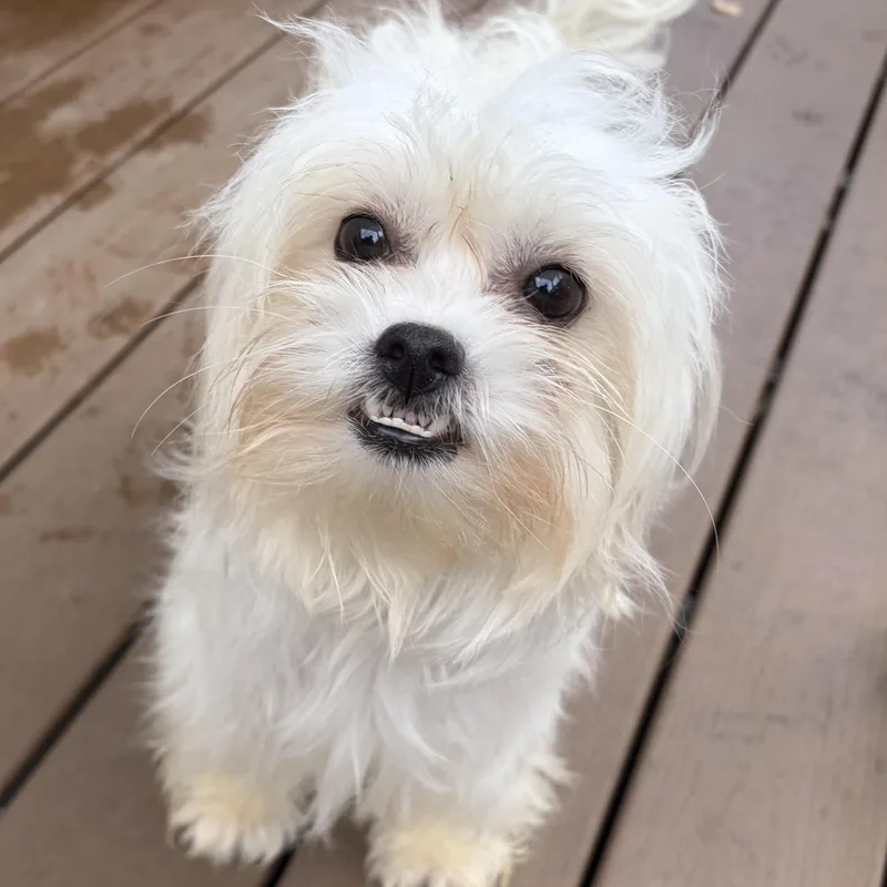 Evaher Turn To Be thumbnail 3