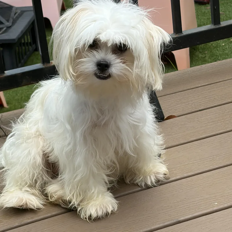 Evaher Turn To Be thumbnail 4