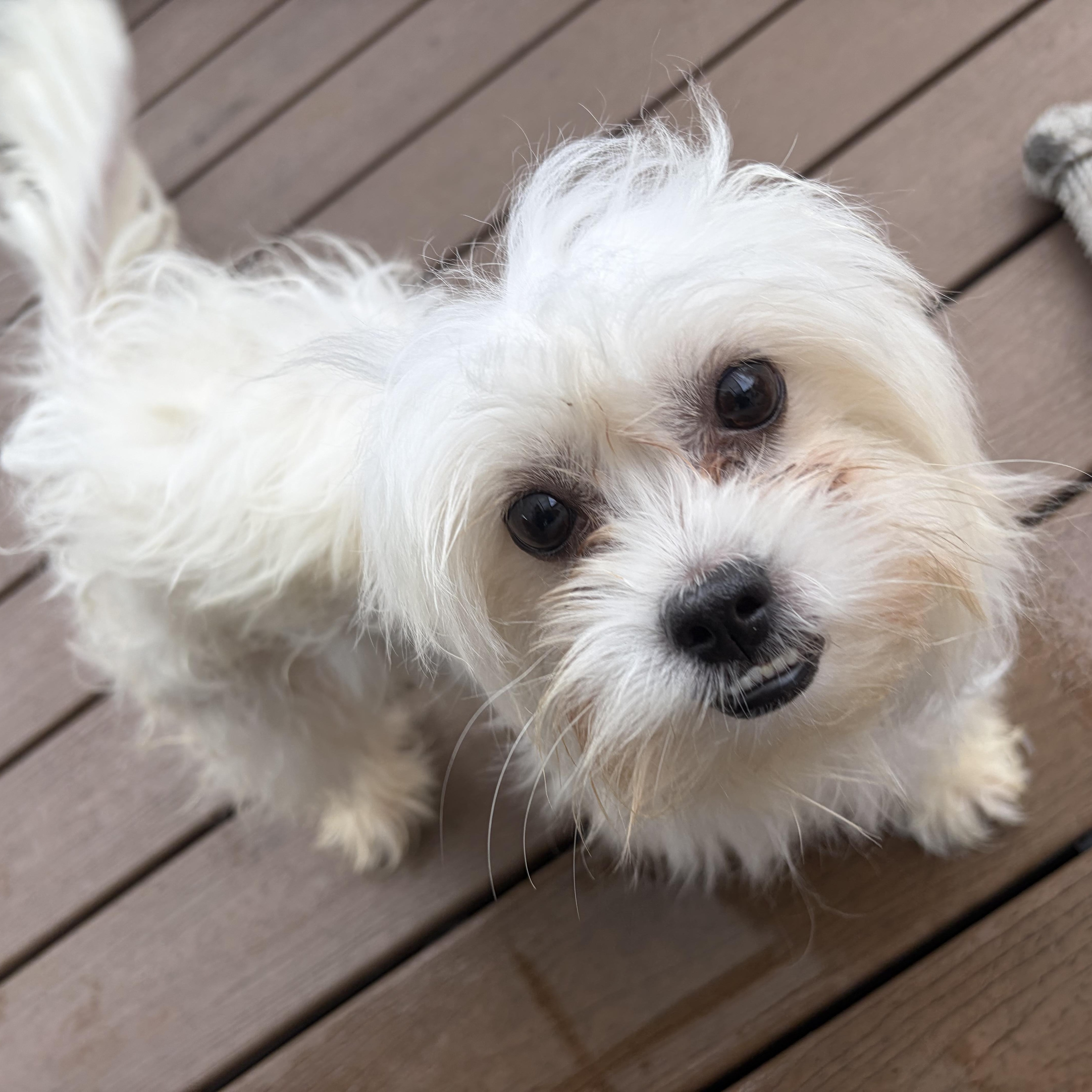 Evaher Turn To Be thumbnail 5