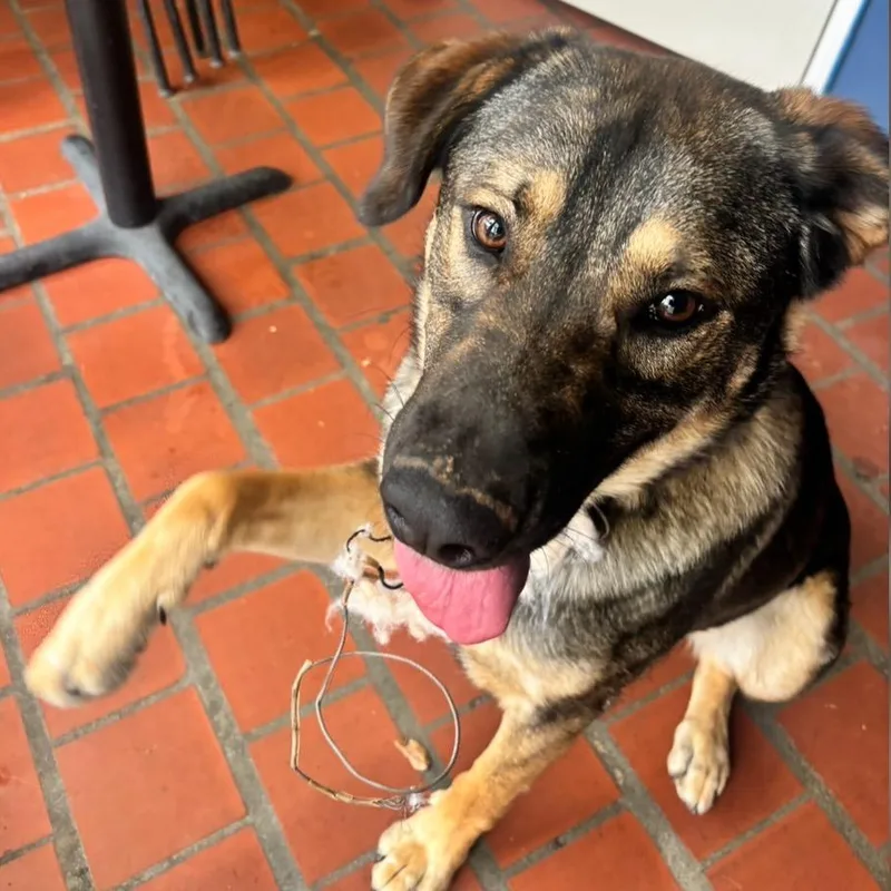 Logan Lucky thumbnail 3