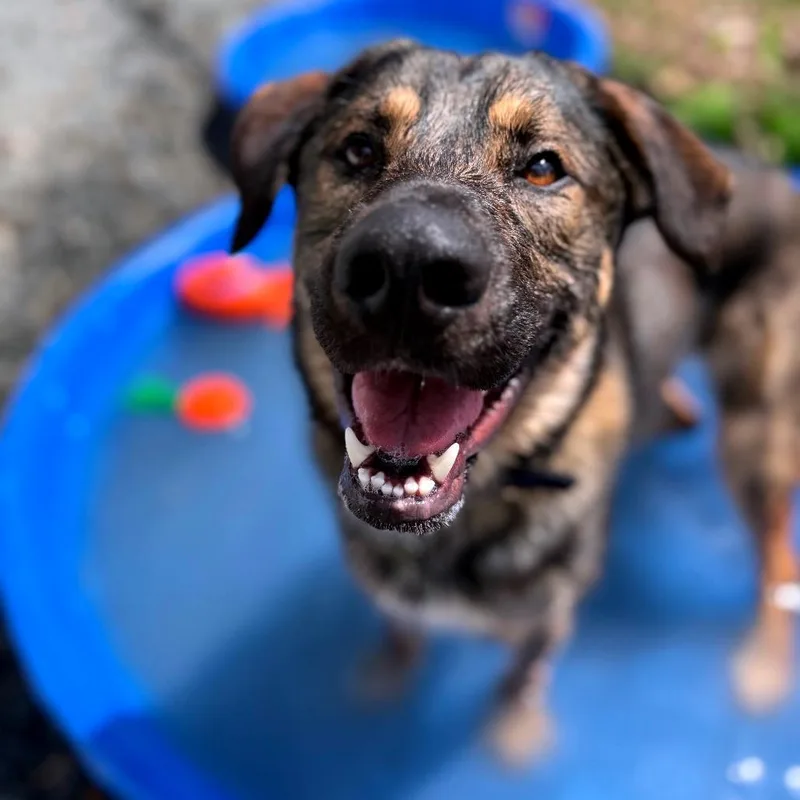 Logan Lucky thumbnail 4